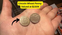 The Lincoln Wheat Penny Valued at $150K, Still in Circulation