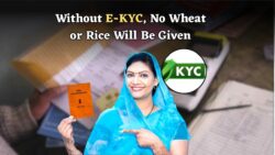 Ration Card E-KYC: Wheat and Rice Distribution Stopped, Government Issues Ultimatum for Ration Card E-KYC