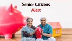 Great News for Senior Citizens – Get Highest Interest on 300 & 400-Day Fixed Deposits