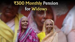 Widow Pension Scheme 2025 Announced – How to Apply and Get Benefits