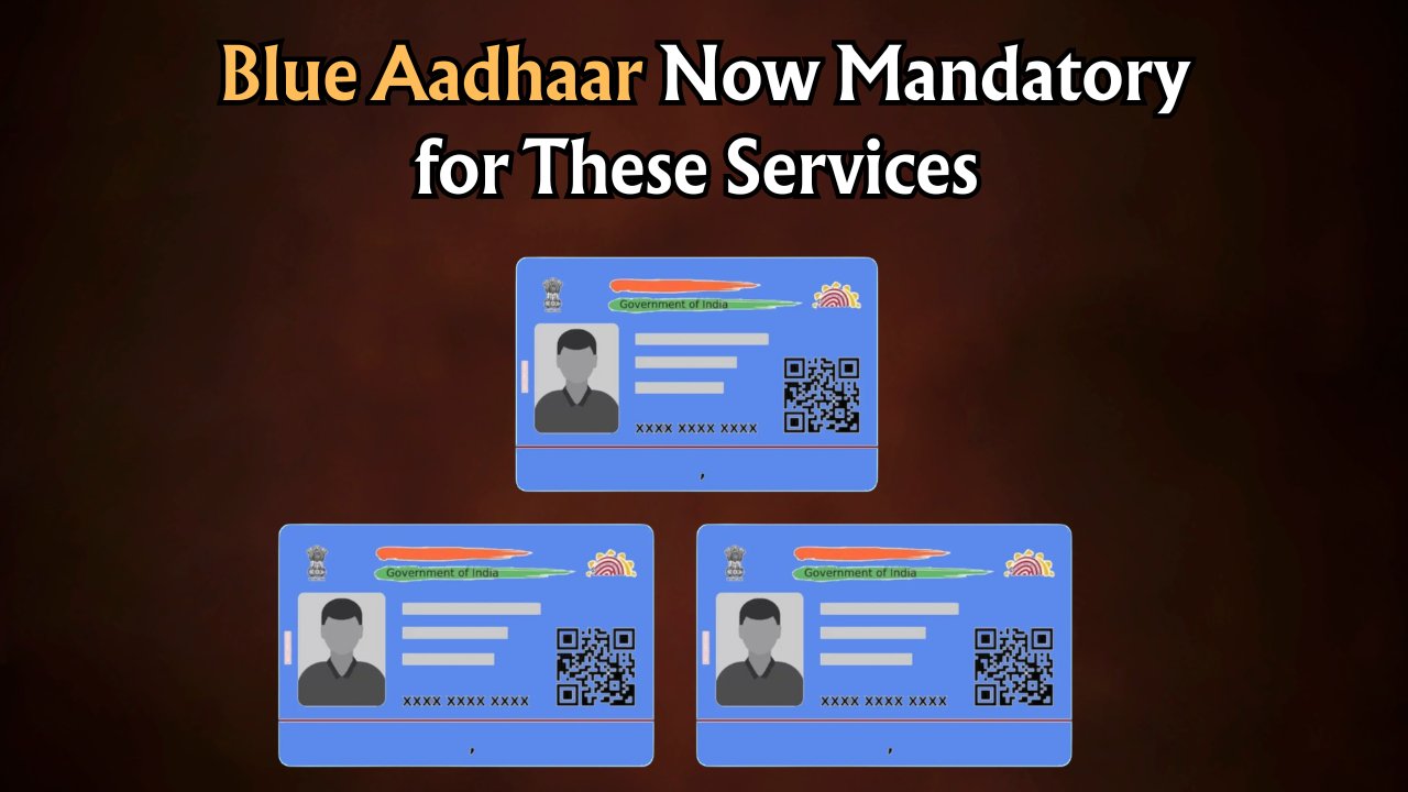 Blue Aadhaar Card